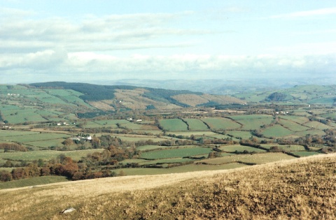 ash1996-018.jpg