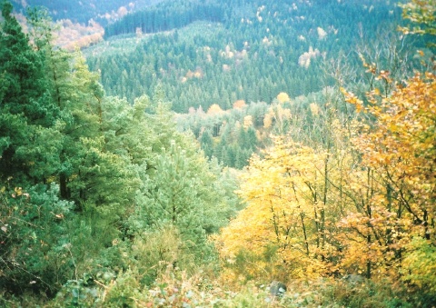 ash2000-007.jpg